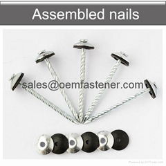 Assembled roofing screw nails