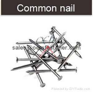 common nails roofing nail coil nail concrete nail 2