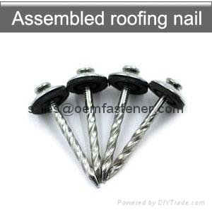 common nails roofing nail coil nail concrete nail 3