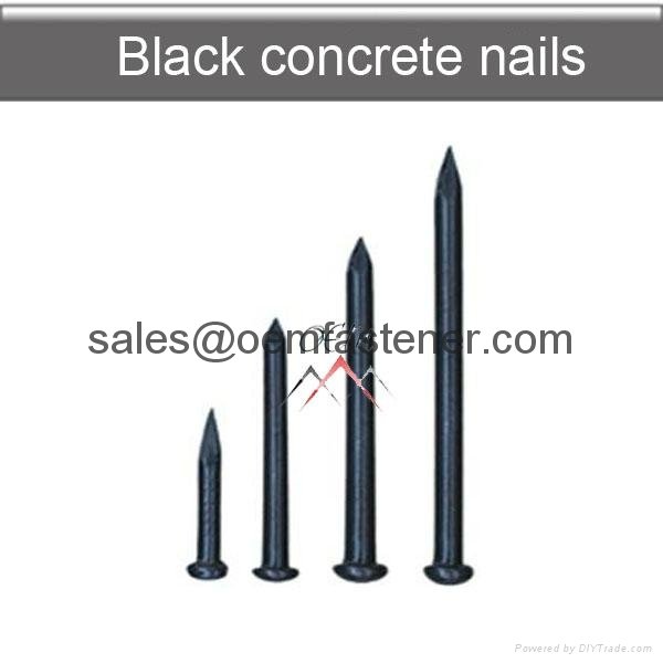 common nails roofing nail coil nail concrete nail 4