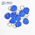 Waterproof 125khz Contactless RFID Keytag/EM Keyfob/Keychain