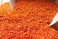 Turkish Red Lentils