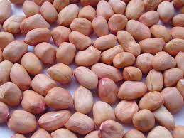 raw peanuts kernels