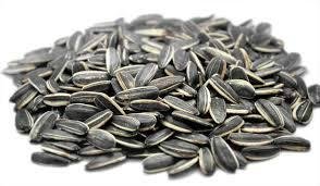 Oil Extraction Sunflower Seeds