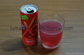 XS Energy Drinks