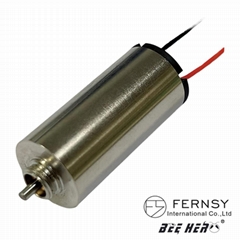 12v Brushed Coreless Motor 12mm Ball Bearing Magnetic Dc Motor for Robot