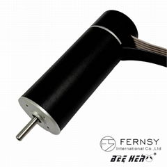 12V Coreless Brushless BLDC 24V DC Motor with Neodymium Magnet Vacuum Cleaners
