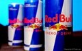 Diet Red Bull Energy Drinks 2