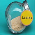 l-lysine HCL 98.5% 1