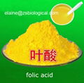 FOLIC ACID GOLD SUPPLIER 1