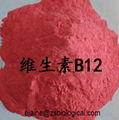 VITAMIN B12 1