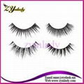 Human Hair Eyelashes 1