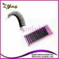 Animal Fur Eyelash Extensions 1