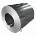 galvanized steel coil