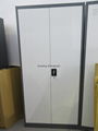 luoyang  changyuan  office  furniture  factory steel  cupboard 3