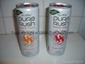 SoBe Pure Rush Energy Drink - Tropical Twist 2