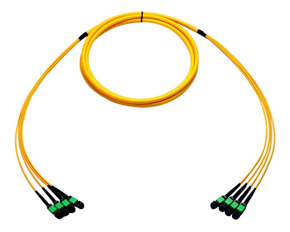 MTP/MPO CABLE 4