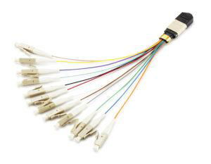 MTP/MPO CABLE 5