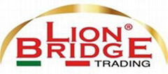 Lion Bridge Srl