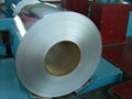 Galvanized steel coils in sheets or