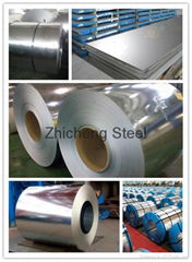 Super quality best selling hot dip galvanzied steel coils in sheet