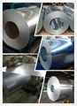 Hot-Selling High Quality Low Price galvanzied steel coils in sheet 1