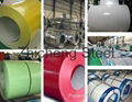 low price high quality ppgi prepainted galvanized iron coil prepainted GI iron 2