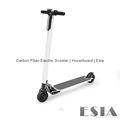 Carbon Fiber Foldable Electric Scooter 1