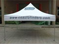 Popular Folding Gazebo with Dye