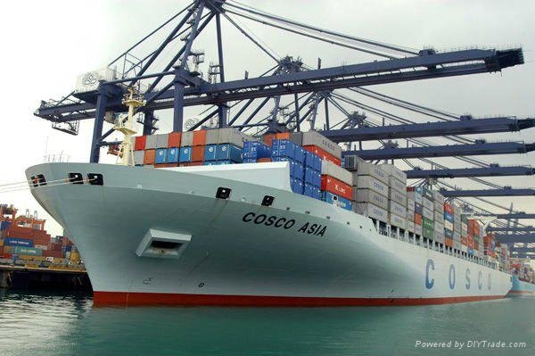 the cheapest Ocean Freight From China to Sharjah United Arab Emirates 1