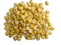 Freeze Dried Sweet Corn