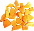 Freeze Dried Pumpkin