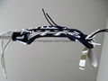 New Brine Dynasty Elite Womens Lacrosse Stick Head 5