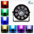 forest fly LED 9pcs 10W and 1pcs 30W RGBW LED par lights