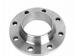 Stainless steel flange