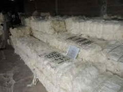 Premium Quality UG Sisal Fiber