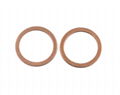 Copper Gasket