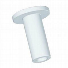 PTFE Partial Prosthesis