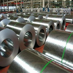 Gavalized Steel Coil