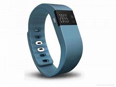 BL-SW101 Fitbit TW64 Fitness Tracker