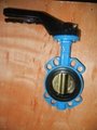 Rubber Lined Butterfly Valve