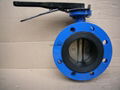 Flange butterfly valve 2