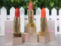 2016  New Products Professional fashion color lip stick  3