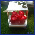 Acrylic flower box