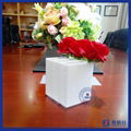 Acrylic flower box 1