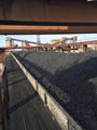 PETROLEUM COKE on Alashankou 1