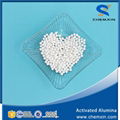 High Quality Activated Alumina KA401 for as adsorbent 2