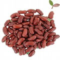 Red Kidney Beans 1