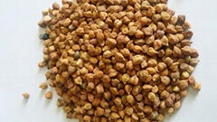 CHICK PEAS - Red / Desi