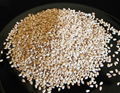 SESAME SEEDS - whites/reddish